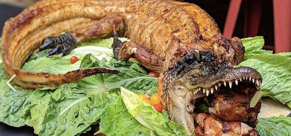 Jungle Food Festival promete temperos exóticos, tamanhos gigantes, formatos bizarros e ingredientes inusitados