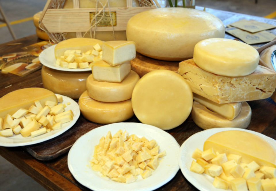 Main queijo minas artesanal catalogo da emater informacoes produtores