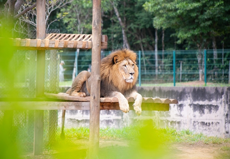 Main zoologico bh aquario informacoes precos horarios