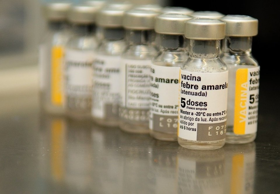 Main 150015 vacina febre amara