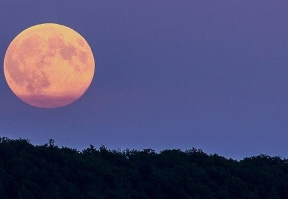 As imagens inéditas da noite da Super Lua Azul, o fenómeno que só volta em  2037 – Observador