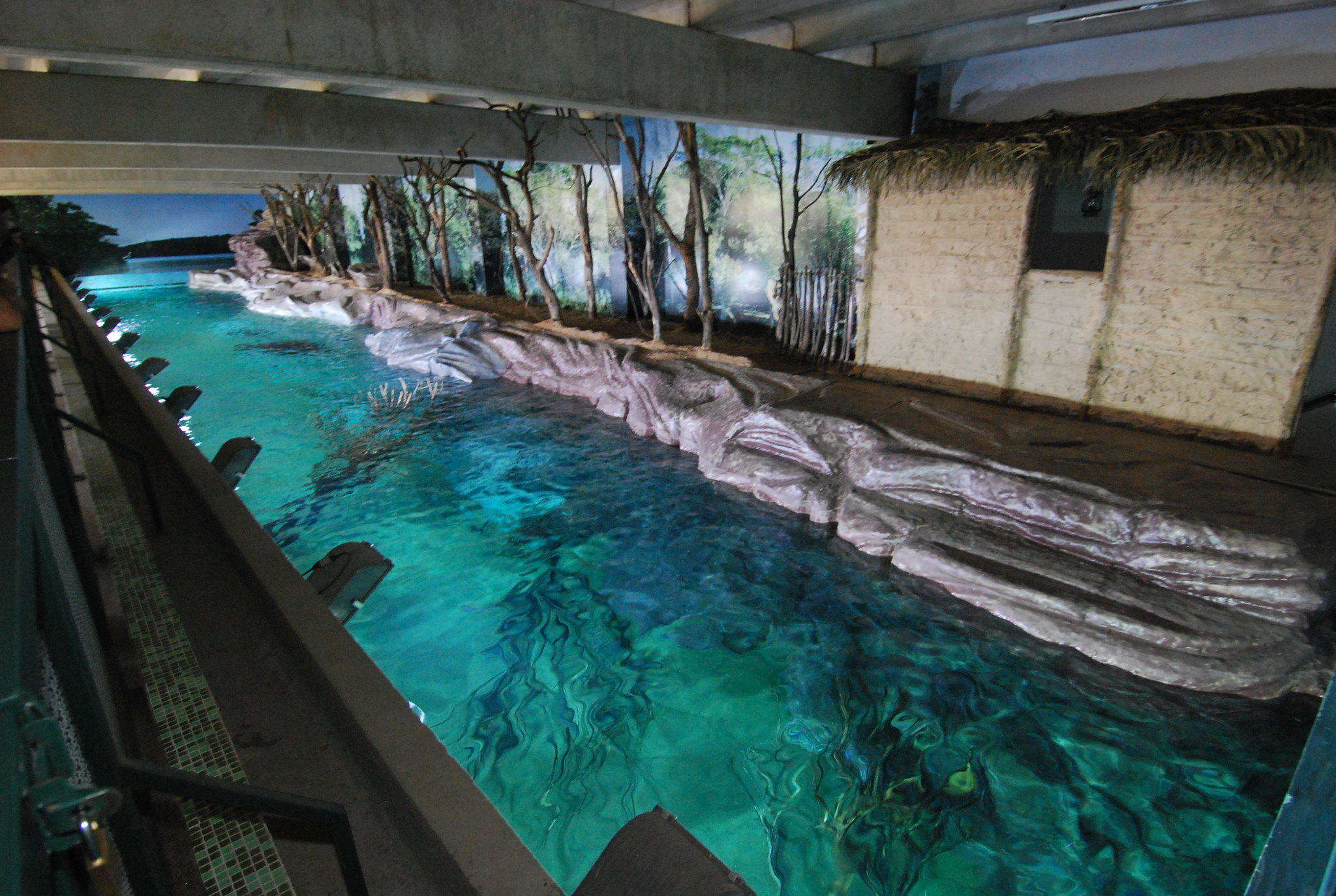 Localizado no Jardim Zoológico da capital, na região da Pampulha, além de atração turística, o aquário oferece estudos sobre biologia, criação e manutenção de peixes em cativeiro.