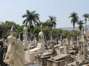 As visitas guiadas ao Cemitério do Bonfim são realizadas uma vez por mês.