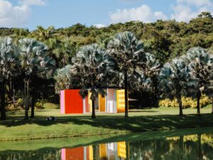 Imagem de lago e árvores em Inhotim