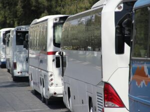 Fila de ônibus de viagem estacionados ao lado de uma via, cercados por árvores, com destaque para a traseira e lateral dos veículos.