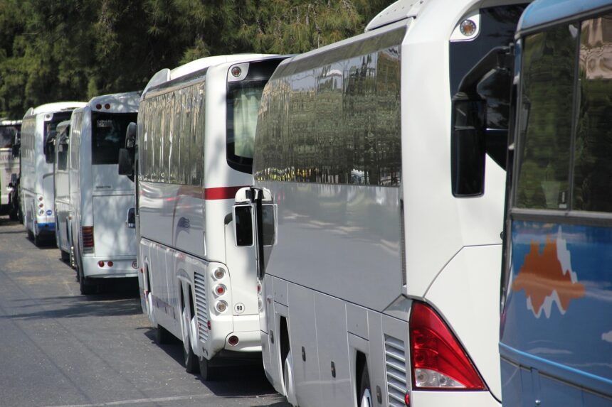 Fila de ônibus de viagem estacionados ao lado de uma via, cercados por árvores, com destaque para a traseira e lateral dos veículos.