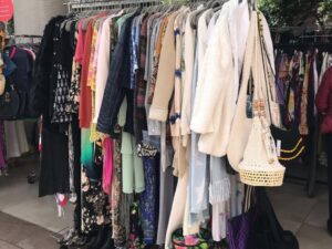 Arara com roupas e calçados de brechó