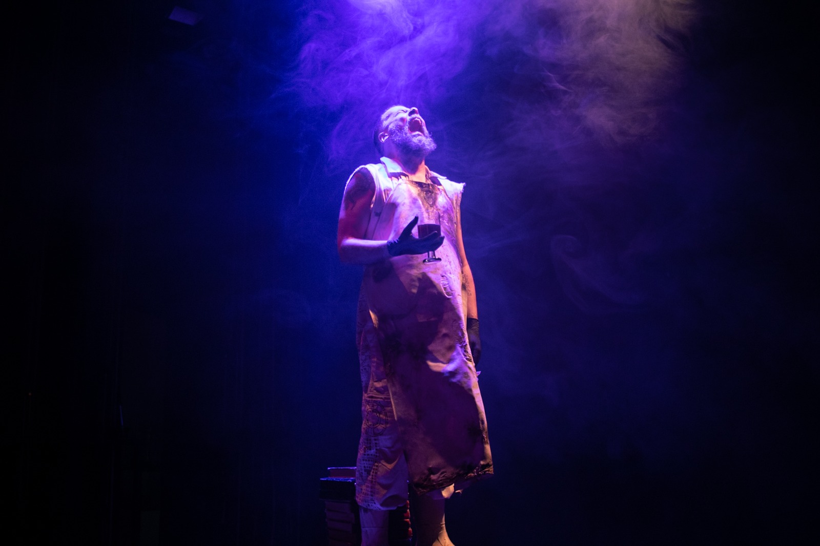 (foto: Divulgação)