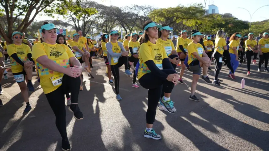 Festival Vamos Passear 2025