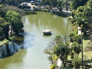 Foto mostra a vista de cima do Parque Municipal Américo Renné Giannetti, com árvores verdes e um lago.