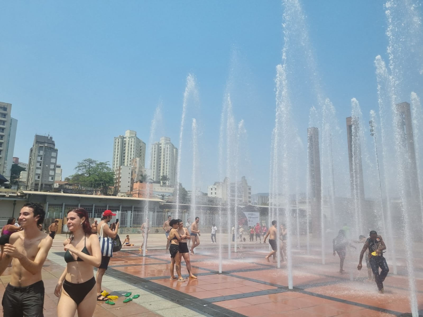 (foto: Reprodução )