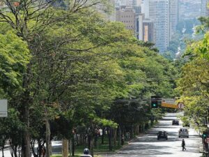 Nos bairros arborizados de BH, como Cidade Jardim, Sion e Anchieta, o verde garante bem-estar e tranquilidade a moradores e turistas