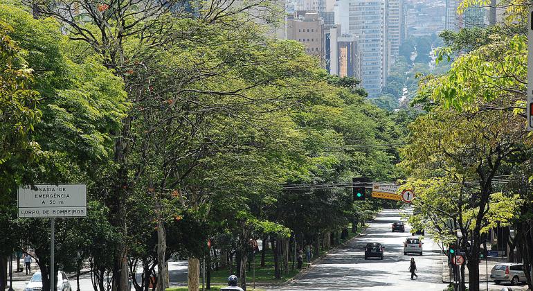 Nos bairros arborizados de BH, como Cidade Jardim, Sion e Anchieta, o verde garante bem-estar e tranquilidade a moradores e turistas