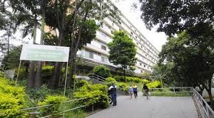 Universidade oferece capacitações online e gratuitas em educação digital, acessibilidade e direitos autorais, com certificação ao final