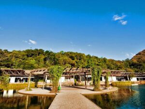 Parque das Mangabeiras promove a Trilha do Cerrado com passeios gratuitos e guiados pela mata nativa