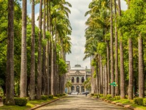 Imagem mostra Praça da Liberdade com vários coqueiros e o Palácio ao fundo.