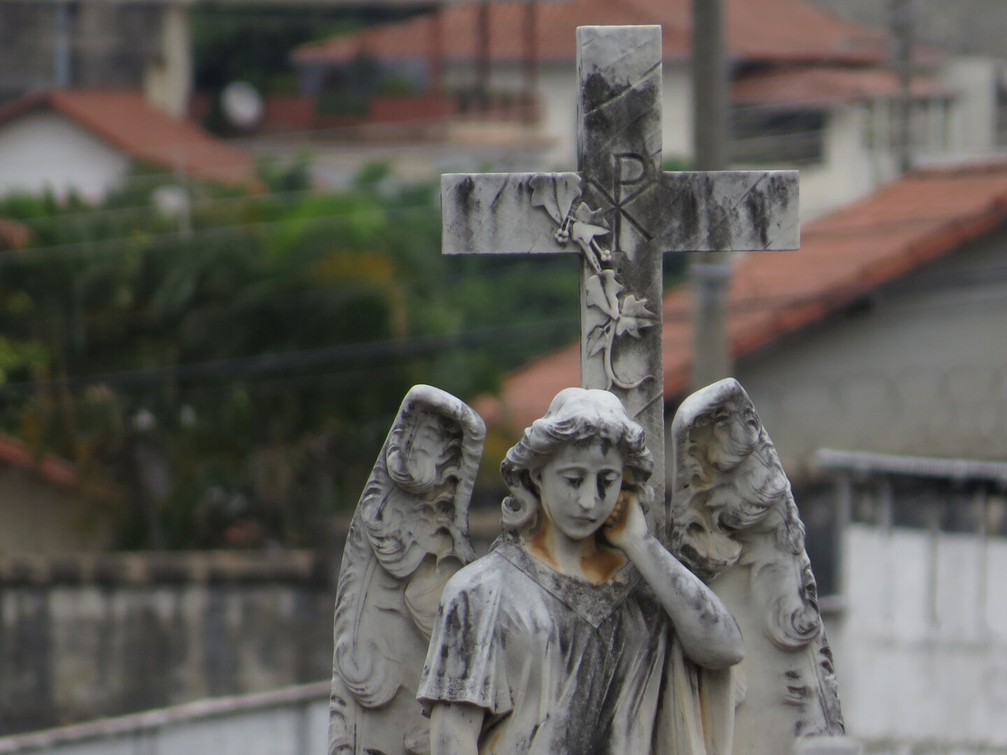 Anjos e outras figuras povoam as alamedas centenárias