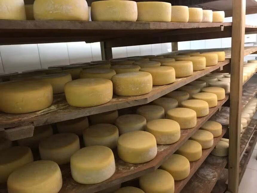 Queijo do Serro nasce no auge do ciclo do ouro