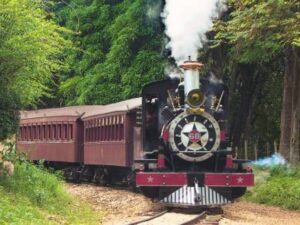 Imagem mostra trem andando sobre trilhos em uma paisagem verde.
