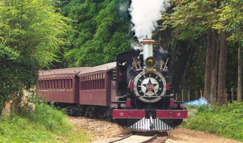 Imagem mostra trem andando sobre trilhos em uma paisagem verde.