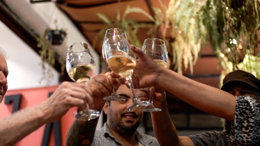 Ambiente de convivência do Circuito de Vinhos reúne amantes da bebida em atividades guiadas e momentos de descoberta