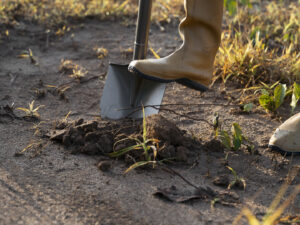 Capina, recolhimento de resíduos nas quadras dos jazigos e transferência do lixo dos velórios eram algumas das atividades do trabalhador
