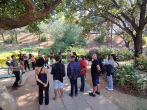 Trilha em parque de BH une caminhada e plantio coletivo