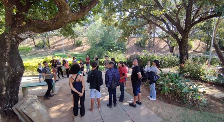 Trilha em parque de BH une caminhada e plantio coletivo