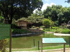 Imagem mostra Zoológico de BH com árvores e um lago.