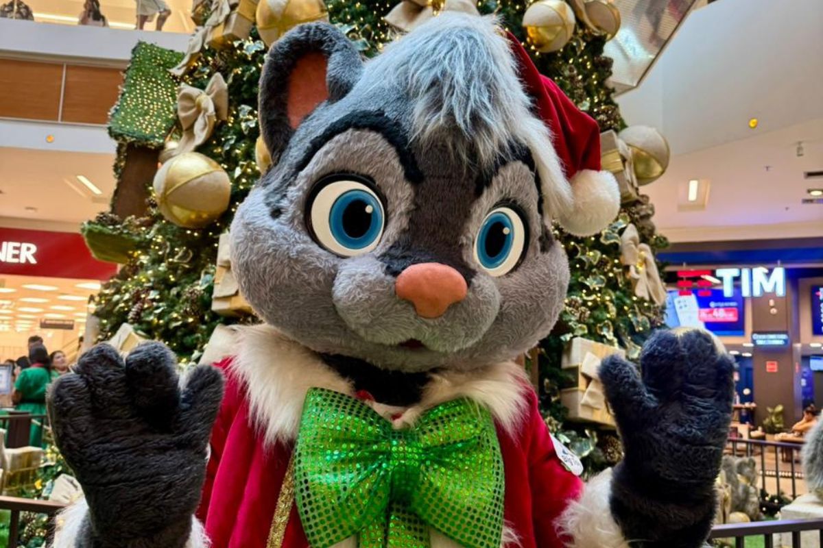 A magia do Natal Mágico dos Esquilos já tomou conta do Boulevard, com cenários iluminados e espaços instagramáveis para toda a família - (foto: Divulgação)