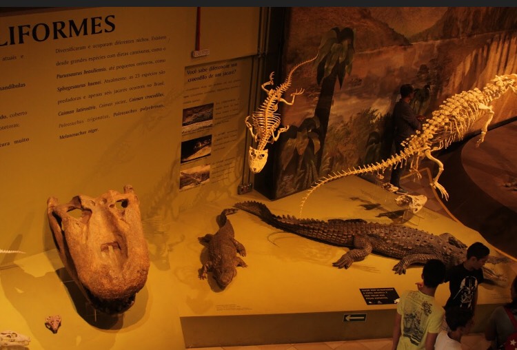 (foto: Reprodução / PUC Minas)