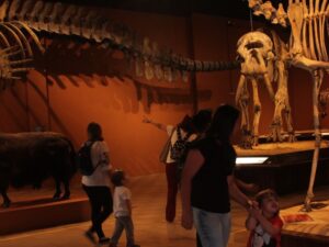 Museu de Ciências Naturais PUC Minas