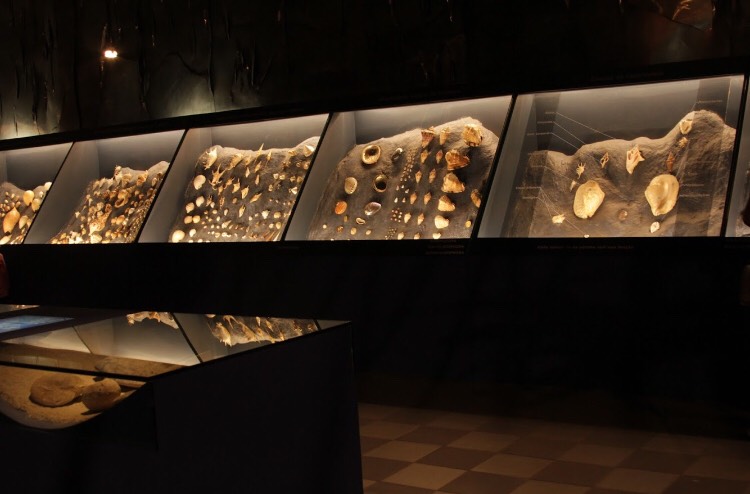 (foto: Reprodução / PUC Minas)