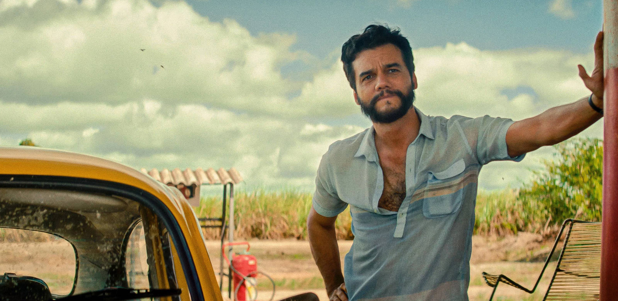 (foto: Reprodução)