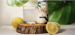 Bebida com aroma de cannabis estreia no Carnaval de BH