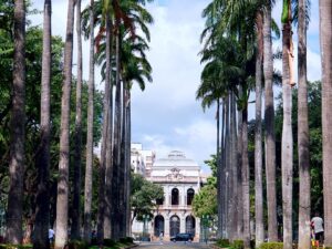 Alameda de palmeiras altas leva a um palácio neoclássico de fachada clara com pessoas.