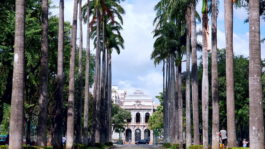 Alameda de palmeiras altas leva a um palácio neoclássico de fachada clara com pessoas.