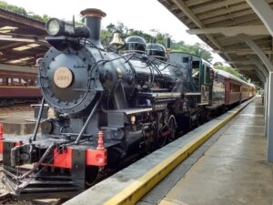 Maria-fumaça do Trem das Águas percorre trecho histórico em meio à paisagem verde, oferecendo uma experiência que une turismo, cultura e gastronomia mineira