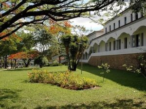 Prédio branco com arcos e colunas, gramado verde com árvores, sob luz solar.