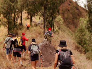 Grupo de caminhantes com mochilas e bastões sobe trilha seca e gramada em montanha.