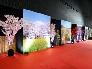 Entrada do Expominas durante o Festival do Japão em Minas, em Belo Horizonte