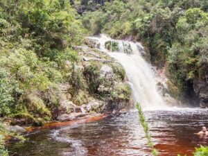 Homem careca nadando em poço de cachoeira com águas avermelhadas e vegetação densa ao redor.