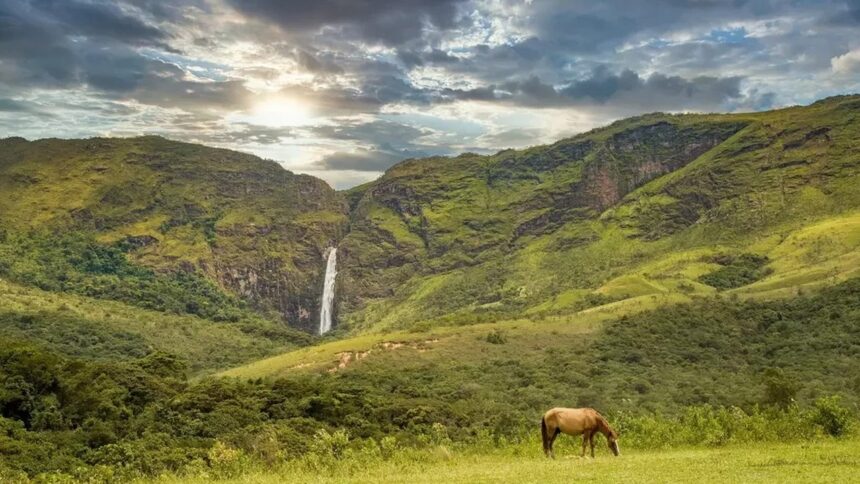 Cavalo marrom pastando em campo verde com cachoeira e montanhas luxuriantes sob céu nublado.