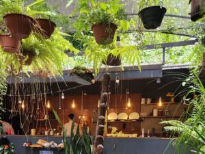 Ambiente arborizado e intimista do No Quintal com Chefs, na Savassi, onde a cozinha aberta integra o preparo dos pratos à experiência dos clientes