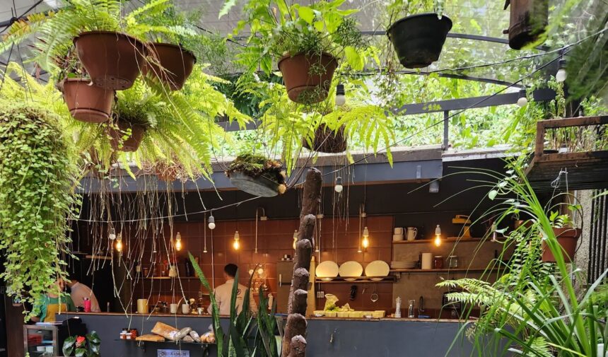 Ambiente arborizado e intimista do No Quintal com Chefs, na Savassi, onde a cozinha aberta integra o preparo dos pratos à experiência dos clientes