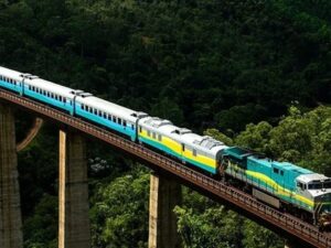 Trem moderno azul e verde sobre viaduto alto em floresta densa.