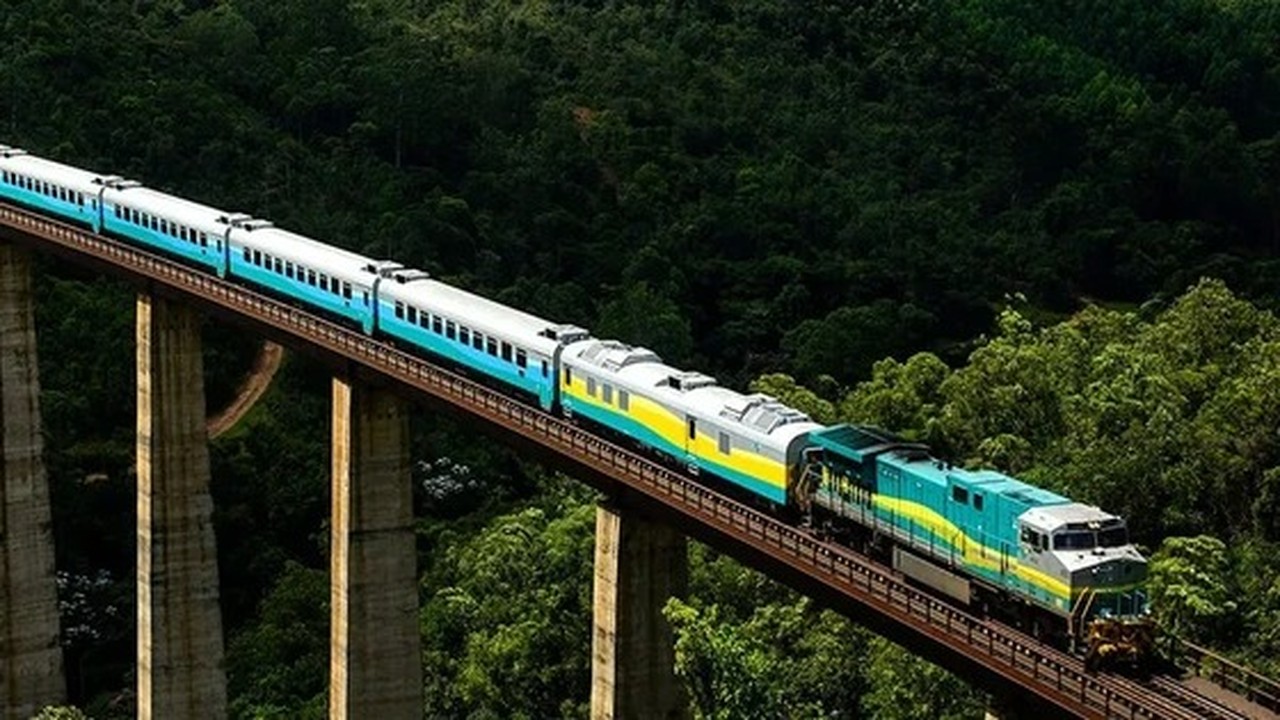 Trem moderno azul e verde sobre viaduto alto em floresta densa.