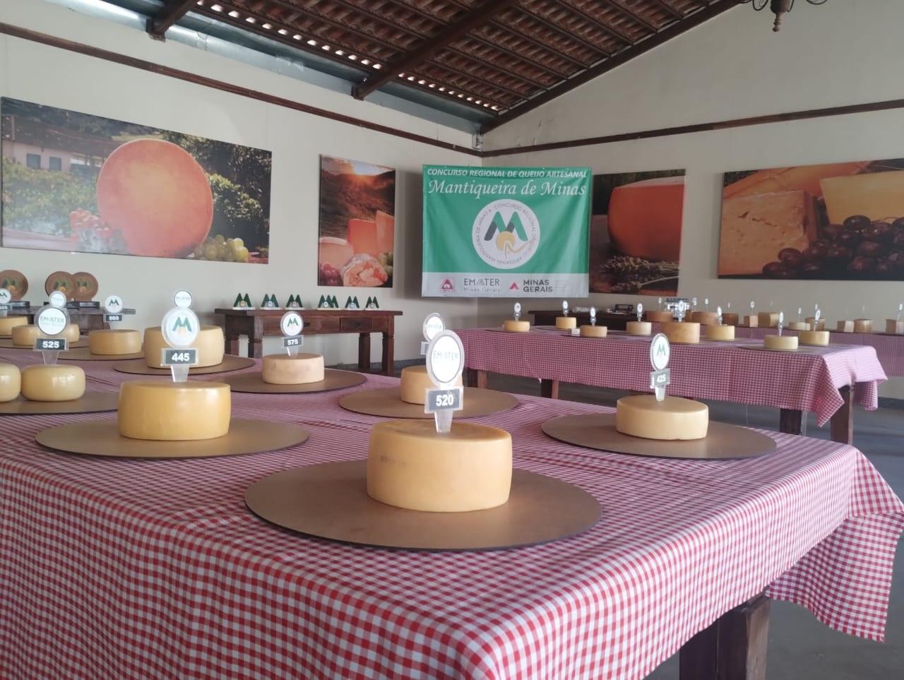 Cheeses with numbers on checkered tables; 'Concurso Regional de Queijo Artesanal Mantiqueira de Minas