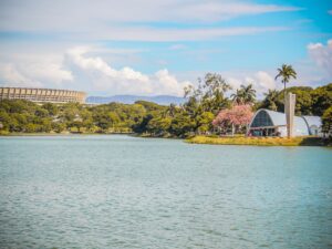 Vista panorâmica da Lagoa da Pampulha em Belo Horizonte, com a Igreja de São Francisco de Assis ao fundo e áreas verdes ao redor