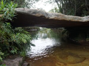 Ponte natural de pedra sobre riacho claro, cercado por vegetação verde exuberante.